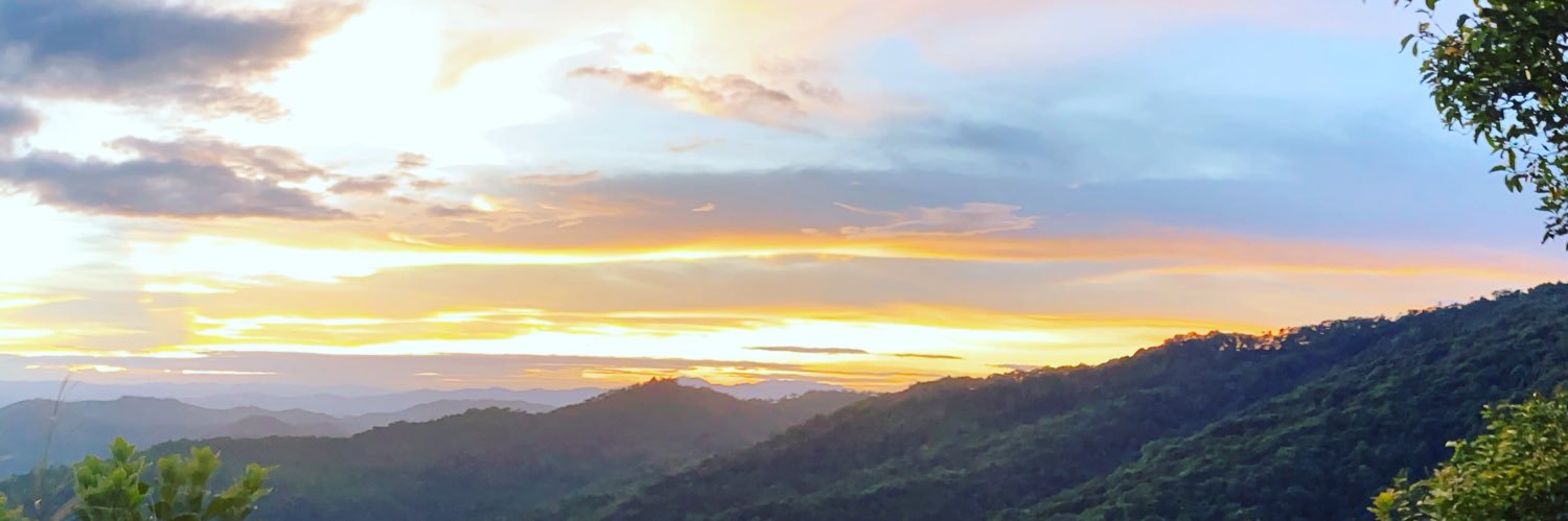 jb212224236's profile banner image