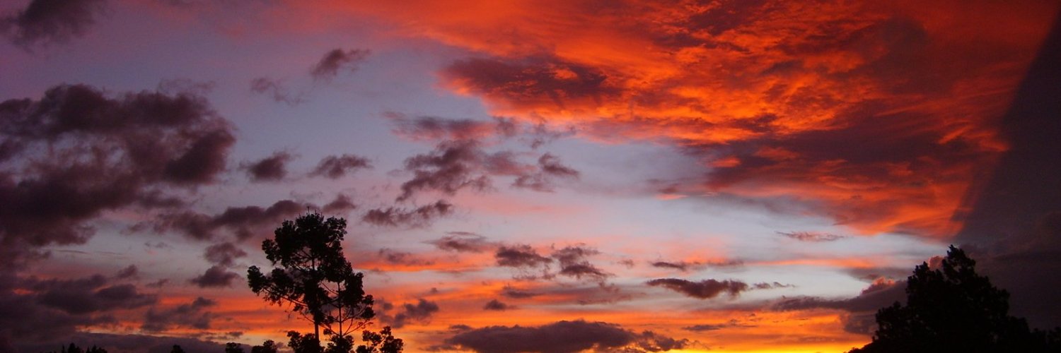 Mariel del Bosque banner