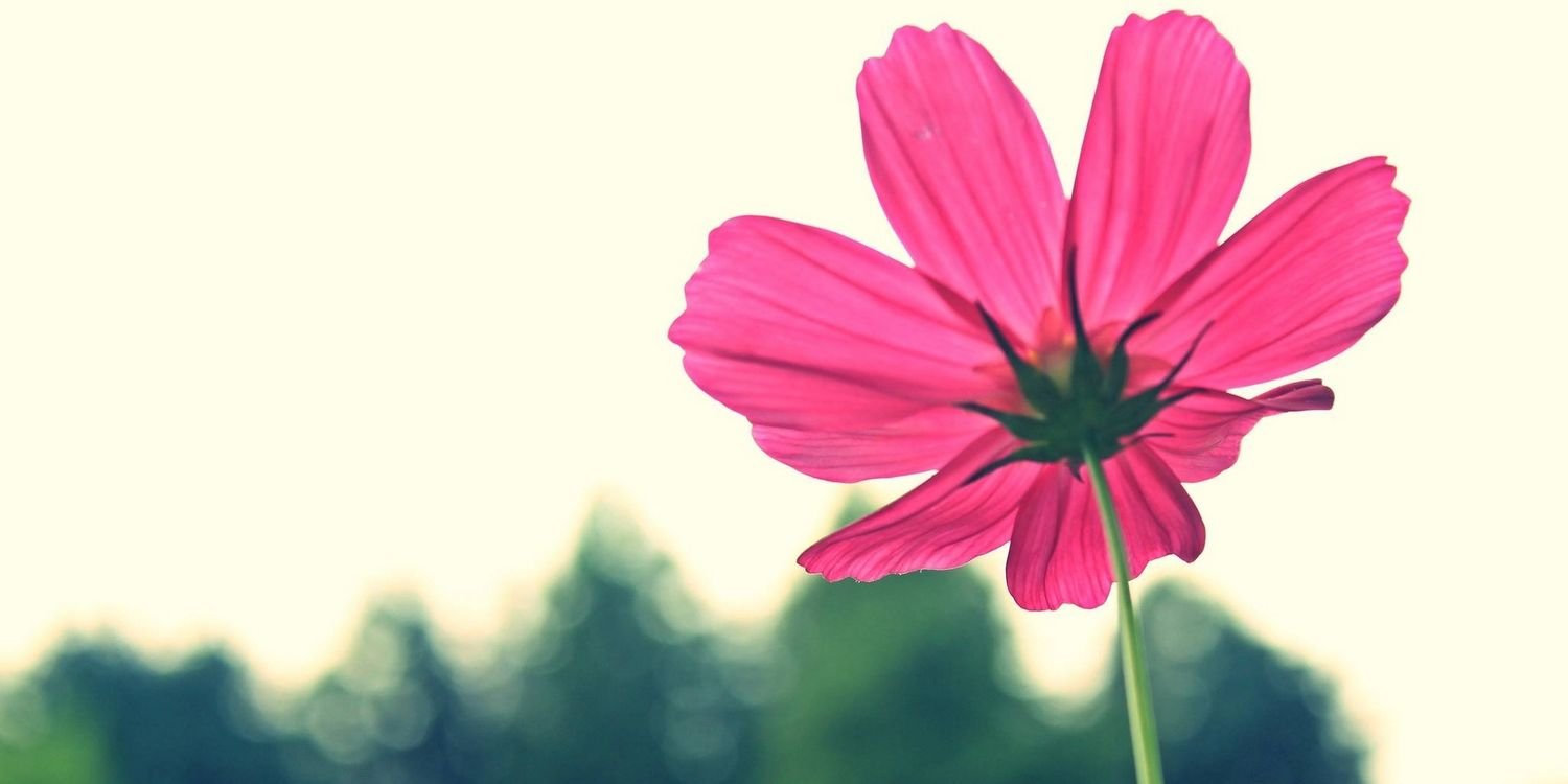 Illy_Garro's profile banner image