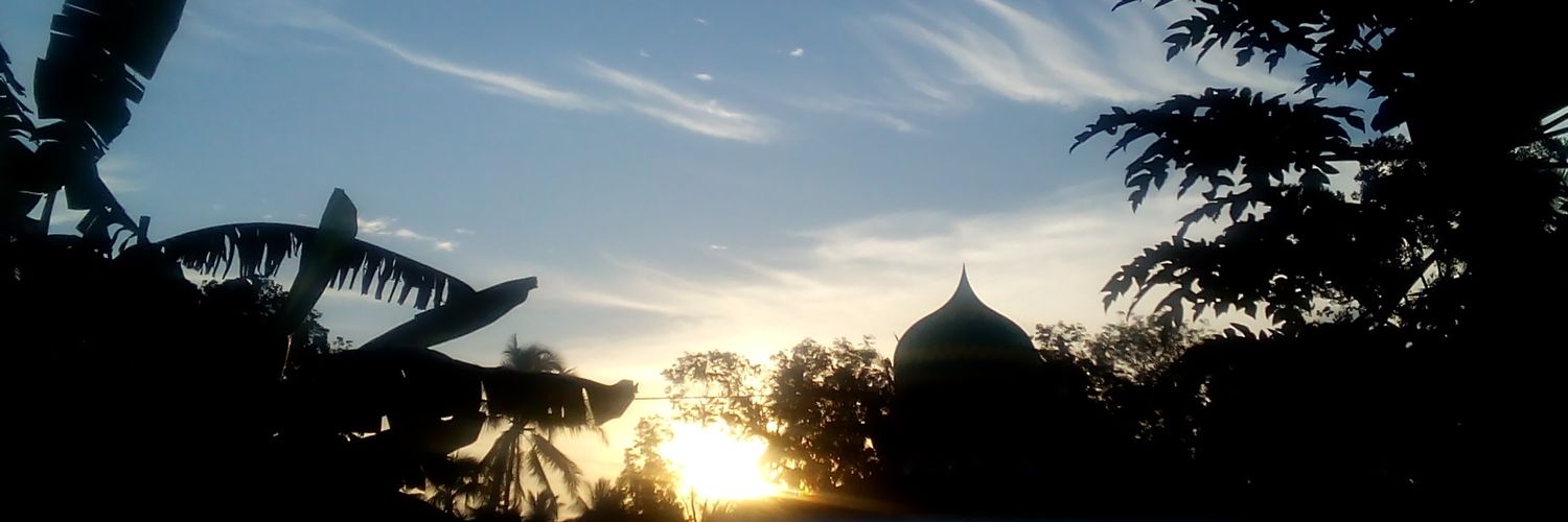 inanasri's profile banner image