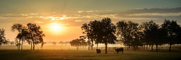 44Farms Profile Banner