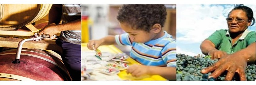 EverGrow Foundation banner