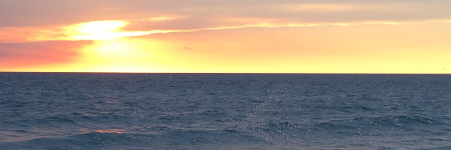 mcouspt's profile banner image