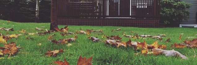 alanajw's profile banner image