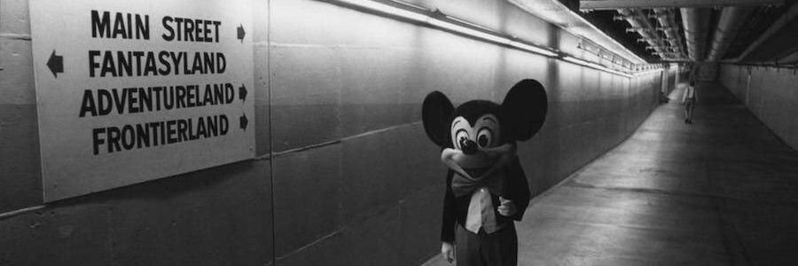 Crevette 🦒 banner