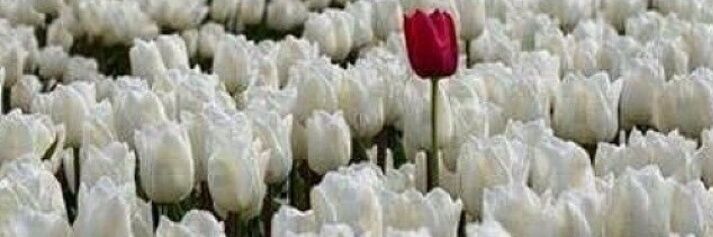 Sisi_Lope's profile banner image