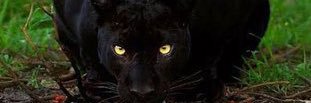 _moriartyy's profile banner image