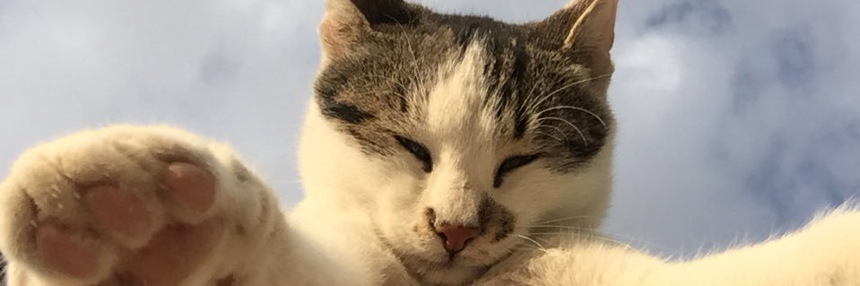 stagnantforeign's profile banner image
