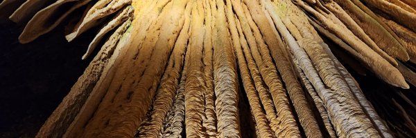 fauxtastic Profile Banner