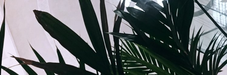 CMajebi's profile banner image