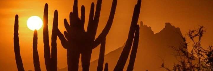 MiMonteverde's profile banner image