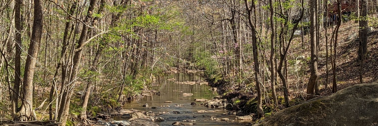 Marco Mangini banner