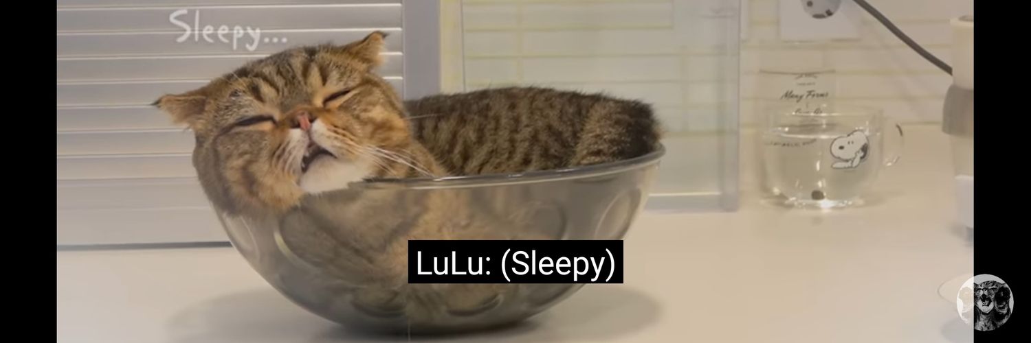 jerryBPP's profile banner image