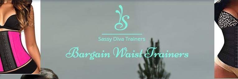 Sassytrainers's profile banner image