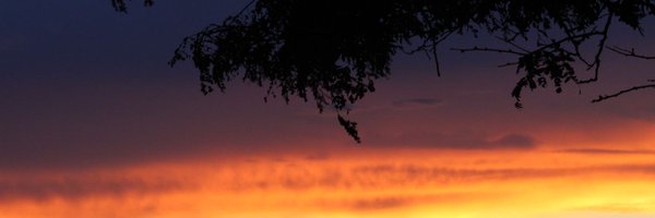 ShanaAdise Profile Banner