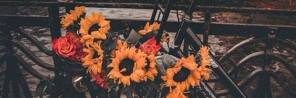 TamaraLPonce Profile Banner