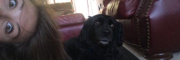 abbyyhibbss Profile Banner
