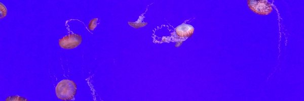 megatev Profile Banner