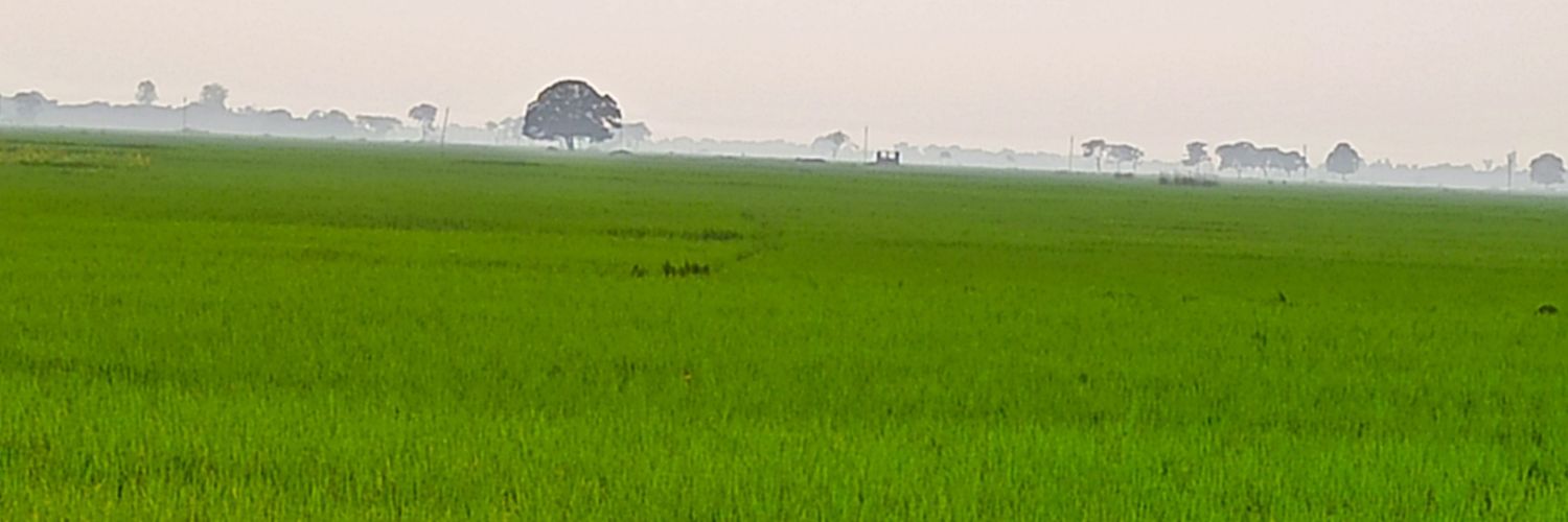 girish_nitk's profile banner image