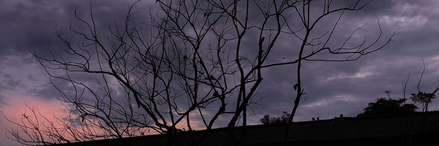 alfich_'s profile banner image