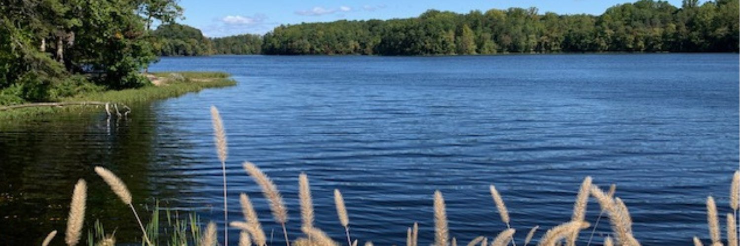 Julene345's profile banner image