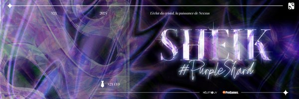 N2X_Sheik Profile Banner