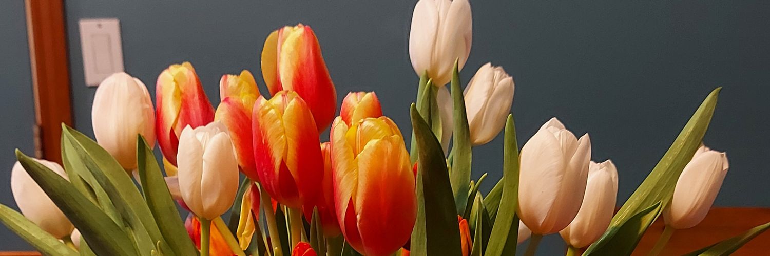 Suzanne Sweeney banner