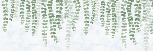 Shalom_kb Profile Banner