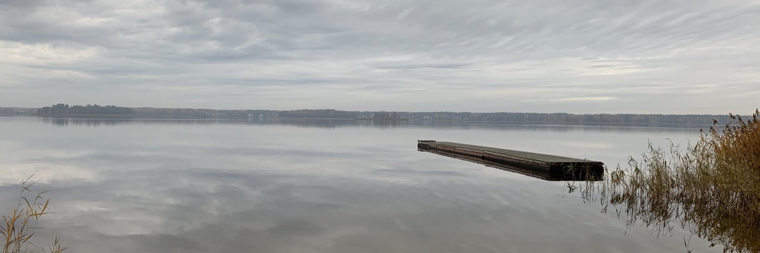 Gundars Lipins banner