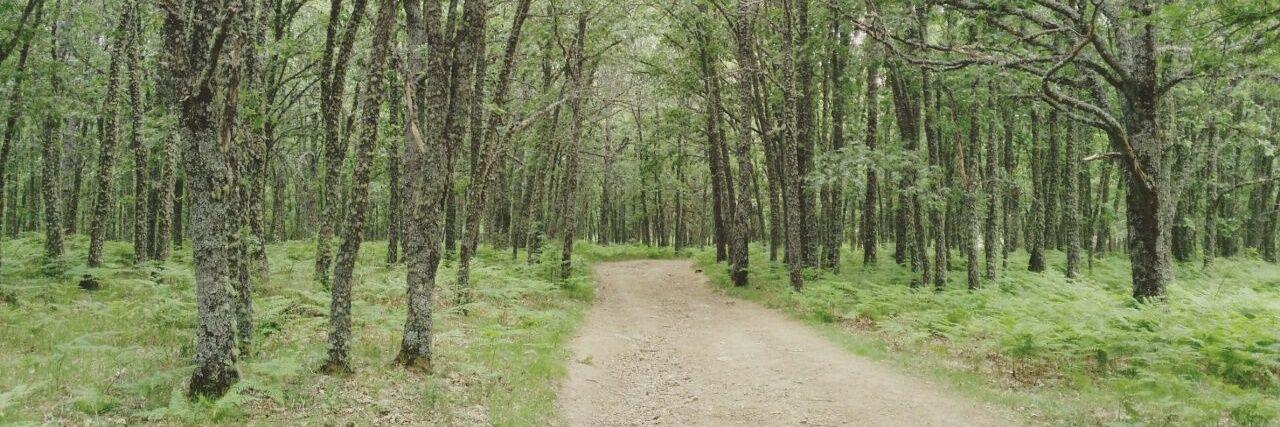 Asier 🏳️‍🌈 banner