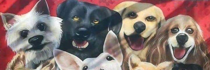 soniigoj's profile banner image