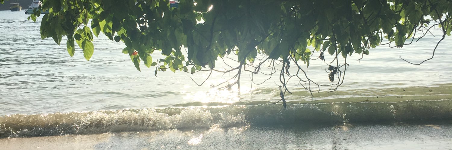 clemence_fauger's profile banner image