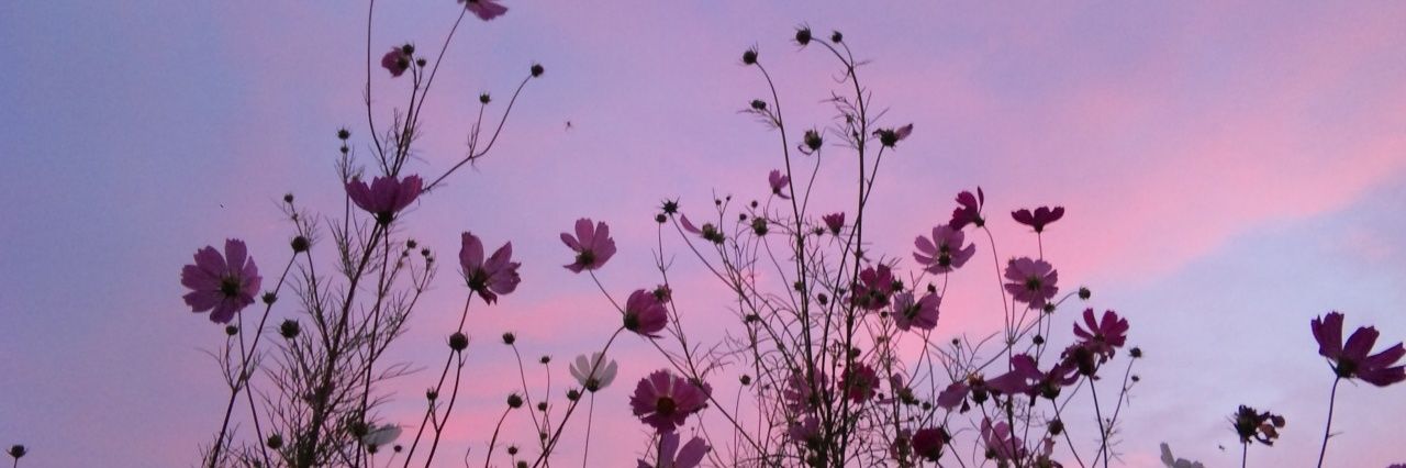bearodriguex's profile banner image