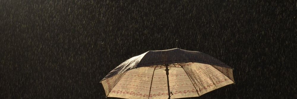 Антон Насонов banner