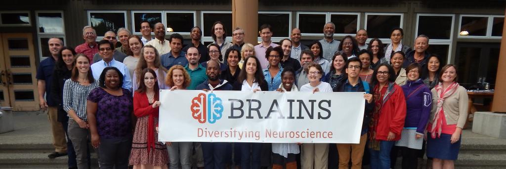 BRAINS banner