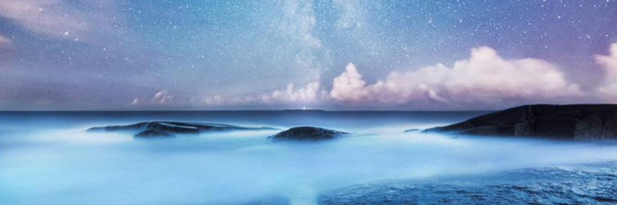 carletonicon1's profile banner image