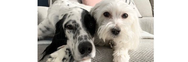 hollett_13's profile banner image