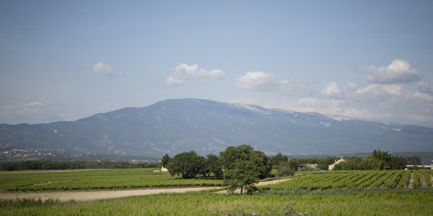 HadfieldWill's profile banner image
