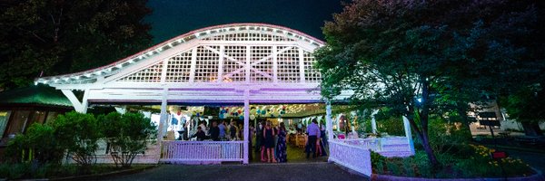 MsContraception Profile Banner