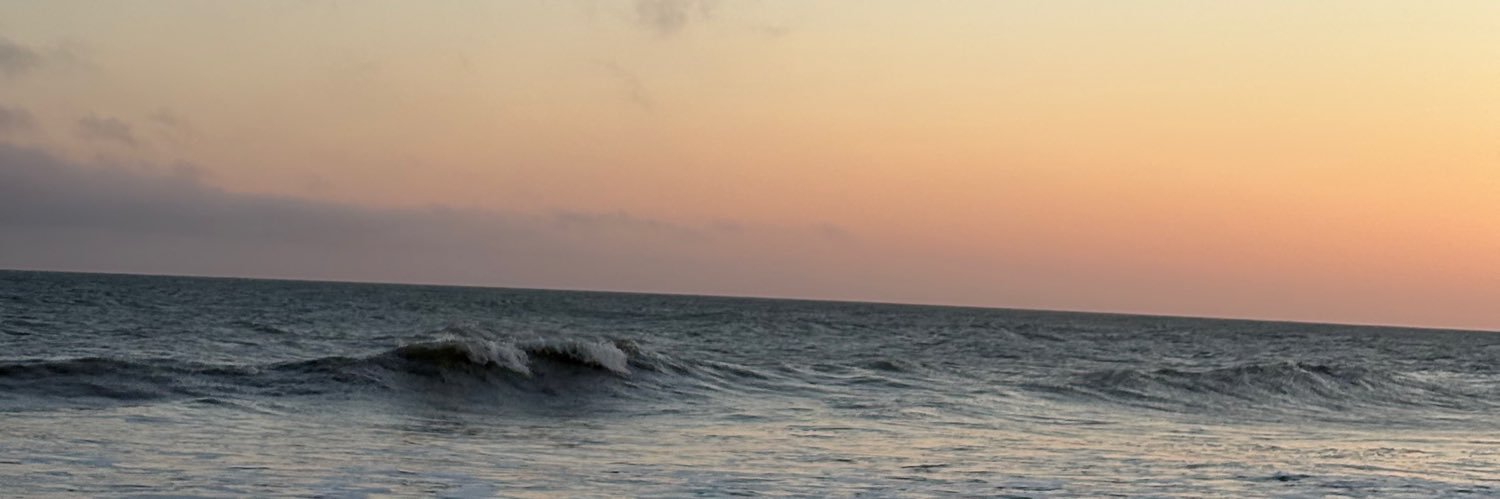guillevit1's profile banner image