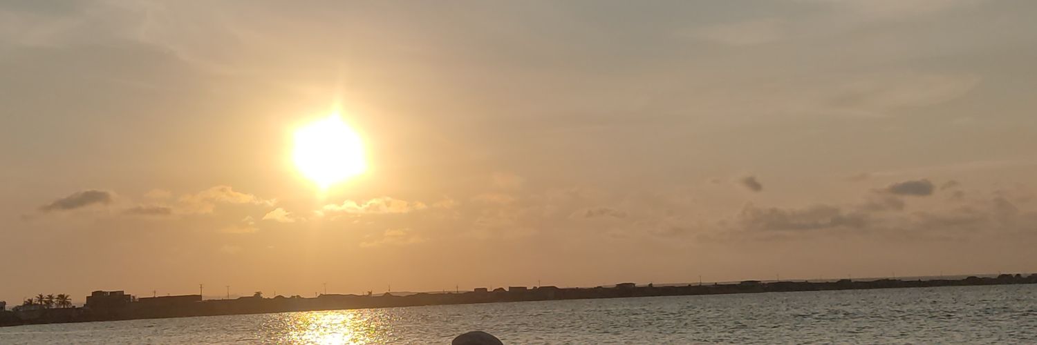 AlfredoSaanchez's profile banner image