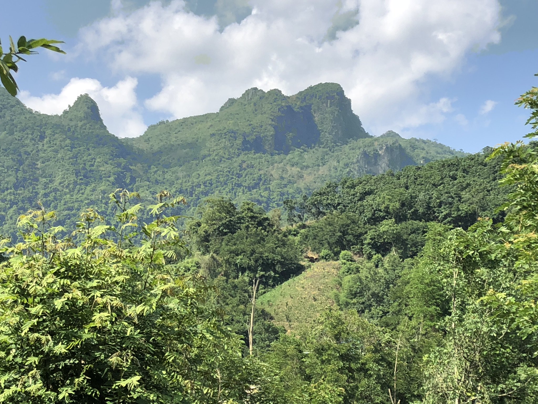 J. Aᴀʀᴏɴ Hᴏɢᴀɴ banner