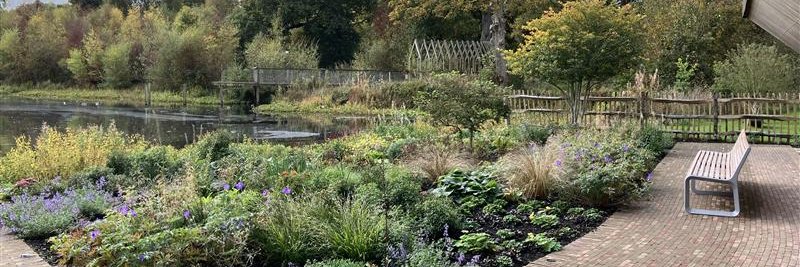 Maggie's Forth Valley banner