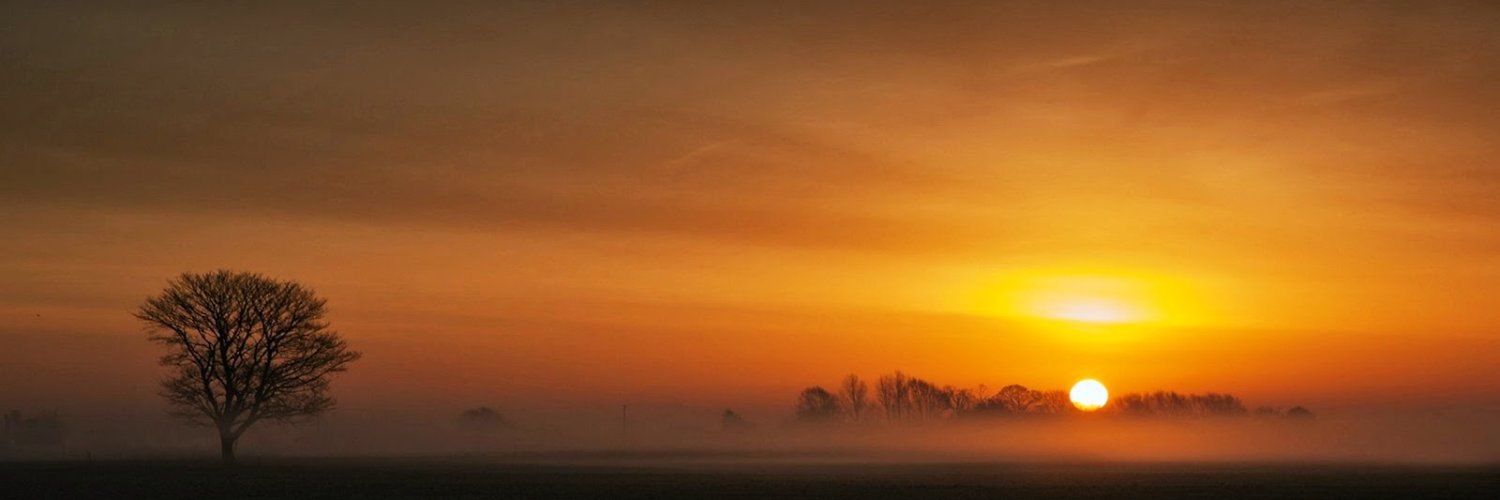 rafackles1's profile banner image