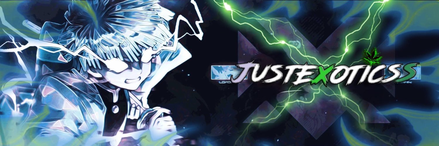 Just Exoticss banner