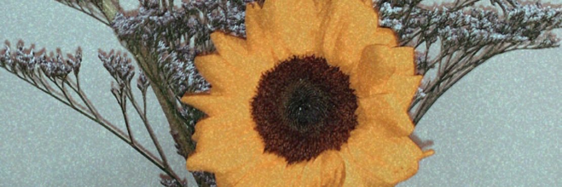 daher_dana's profile banner image