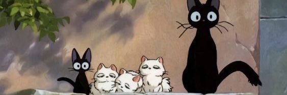 beejapy's profile banner image