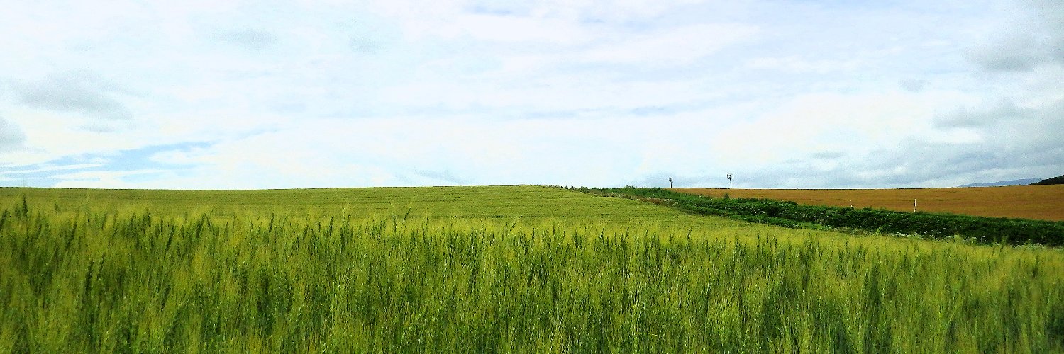 Labo1972Nyaguma's profile banner image