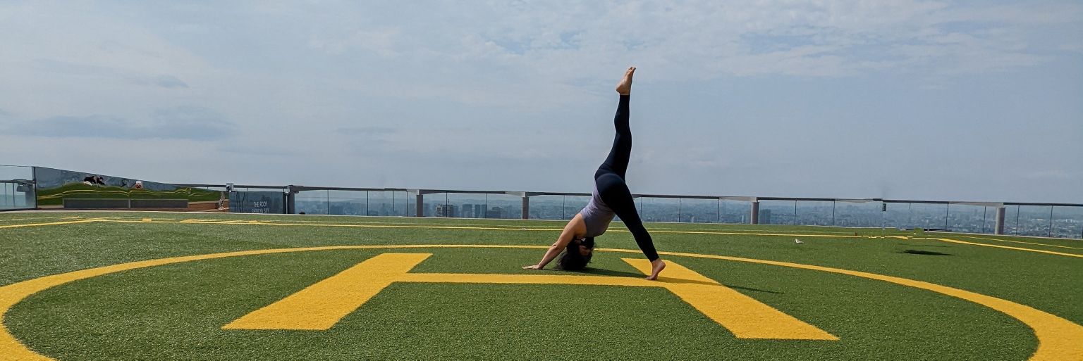 caorevolution banner