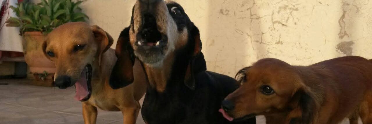 mp_bruno7's profile banner image
